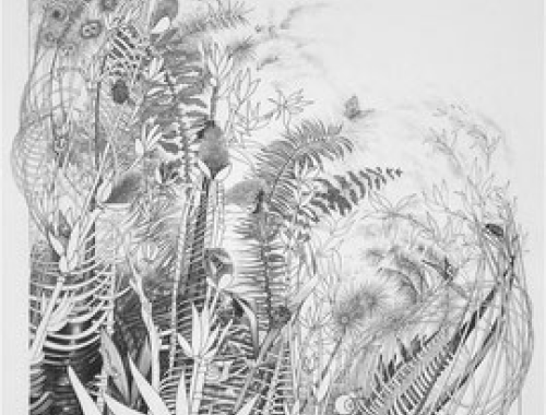 Photo_toile_d'hélène_nué